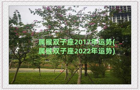 属猴双子座2017年运势(属猴双子座2022年运势)