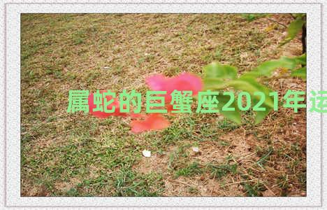 属蛇的巨蟹座2021年运势