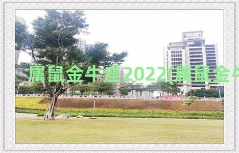 属鼠金牛座2022(属鼠金牛座2022)