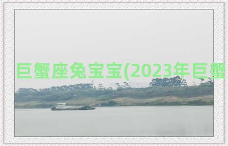 巨蟹座兔宝宝(2023年巨蟹座兔宝宝)