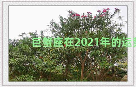 巨蟹座在2021年的运势