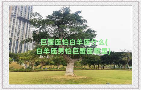 巨蟹座怕白羊座什么(白羊座男怕巨蟹座哪里)