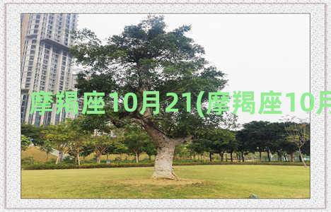 摩羯座10月21(摩羯座10月25日运势)