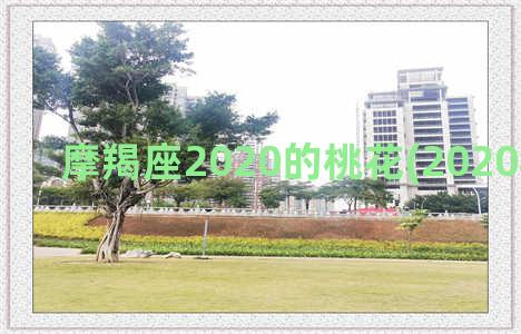 摩羯座2020的桃花(2020年摩羯座)