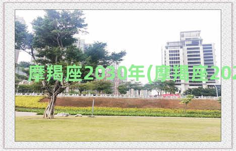 摩羯座2030年(摩羯座2022年几岁)