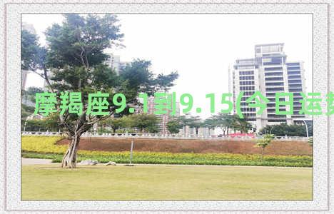 摩羯座9.1到9.15(今日运势摩羯座)