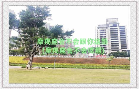 摩羯座会不会跟你结婚(摩羯座会不会吃醋)