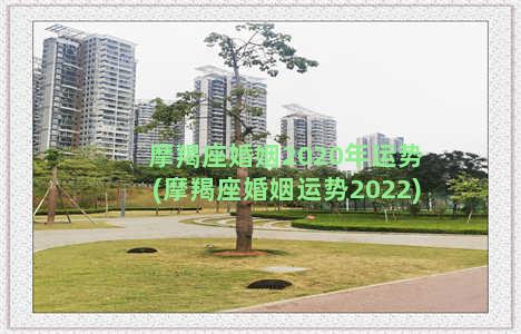 摩羯座婚姻2020年运势(摩羯座婚姻运势2022)