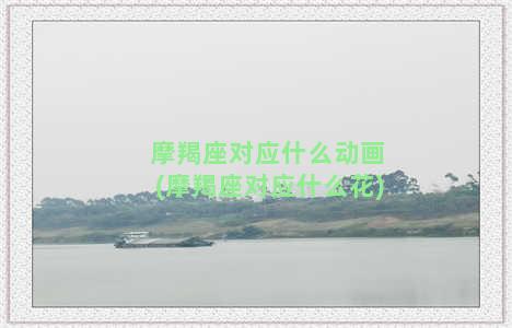 摩羯座对应什么动画(摩羯座对应什么花)