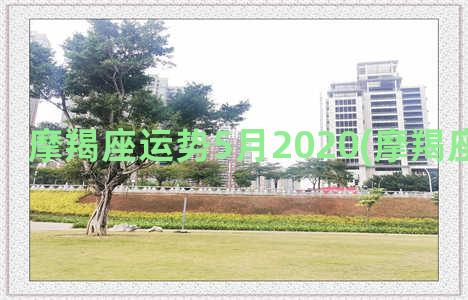 摩羯座运势5月2020(摩羯座运势查询)