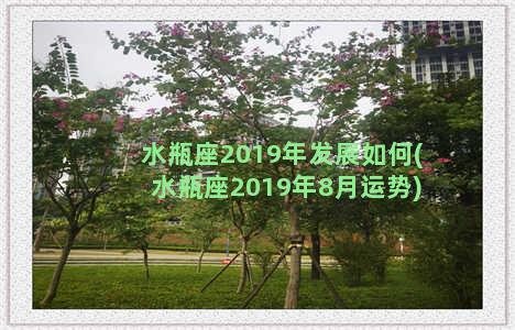 水瓶座2019年发展如何(水瓶座2019年8月运势)