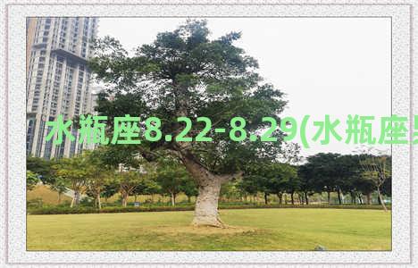 水瓶座8.22-8.29(水瓶座男生性格)