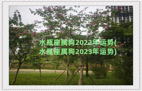 水瓶座属狗2022年运势(水瓶座属狗2023年运势)