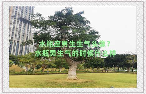 水瓶座男生生气头像？水瓶男生气的时候什么样