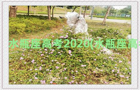 水瓶座高考2020(水瓶座高考运势2022)