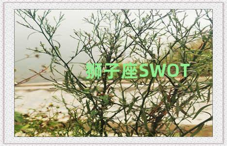 狮子座SWOT