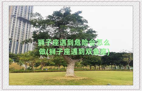 狮子座遇到危险会怎么做(狮子座遇到双鱼座)