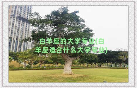 白羊座的大学专业(白羊座适合什么大学专业)