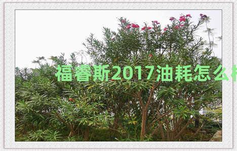 福睿斯2017油耗怎么样