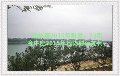 金牛座2015年财运，73年金牛座2015年运势财运如何