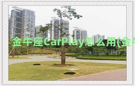 金牛座CarPlay怎么用(金牛座carplay)